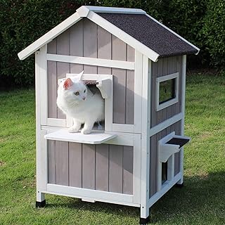 Casas para Gatos