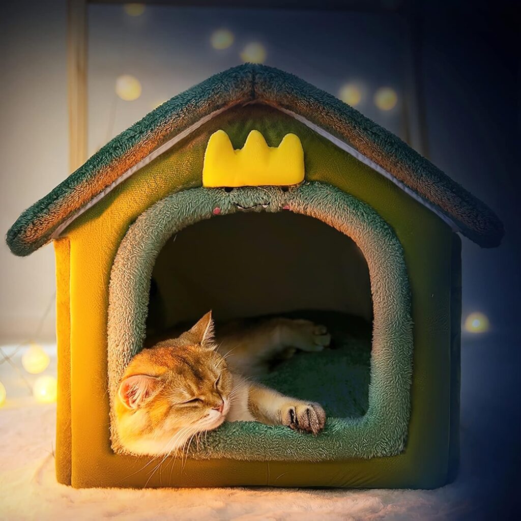 Mejores Casas para Gatos